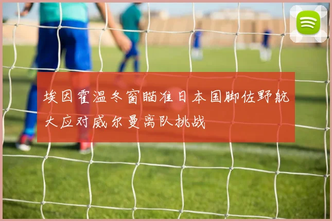 埃因霍温冬窗瞄准日本国脚佐野航大应对威尔曼离队挑战