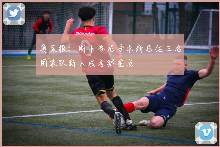 奥莱报：斯卡洛尼寻求新恩佐三名国家队新人成考察重点