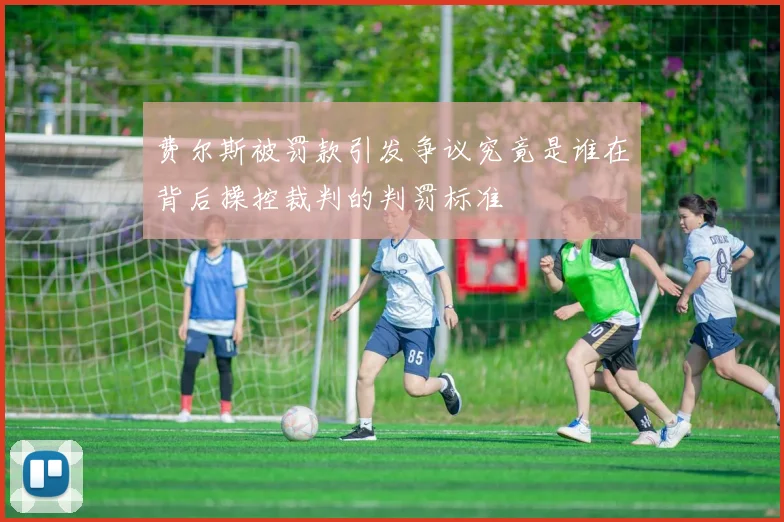 费尔斯被罚款引发争议究竟是谁在背后操控裁判的判罚标准