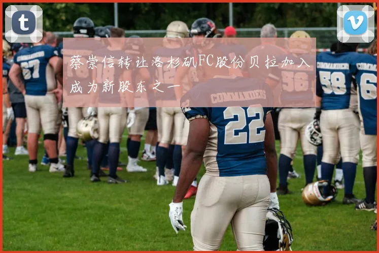 蔡崇信转让洛杉矶FC股份贝拉加入成为新股东之一