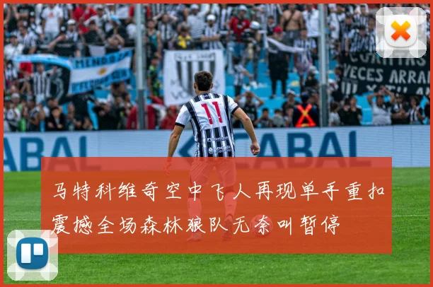 马特科维奇空中飞人再现单手重扣震撼全场森林狼队无奈叫暂停